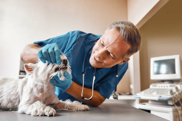 Best Emergency X-Rays and Diagnostics in Montclair State University, NJ